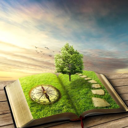 Odoo • Image and Text
